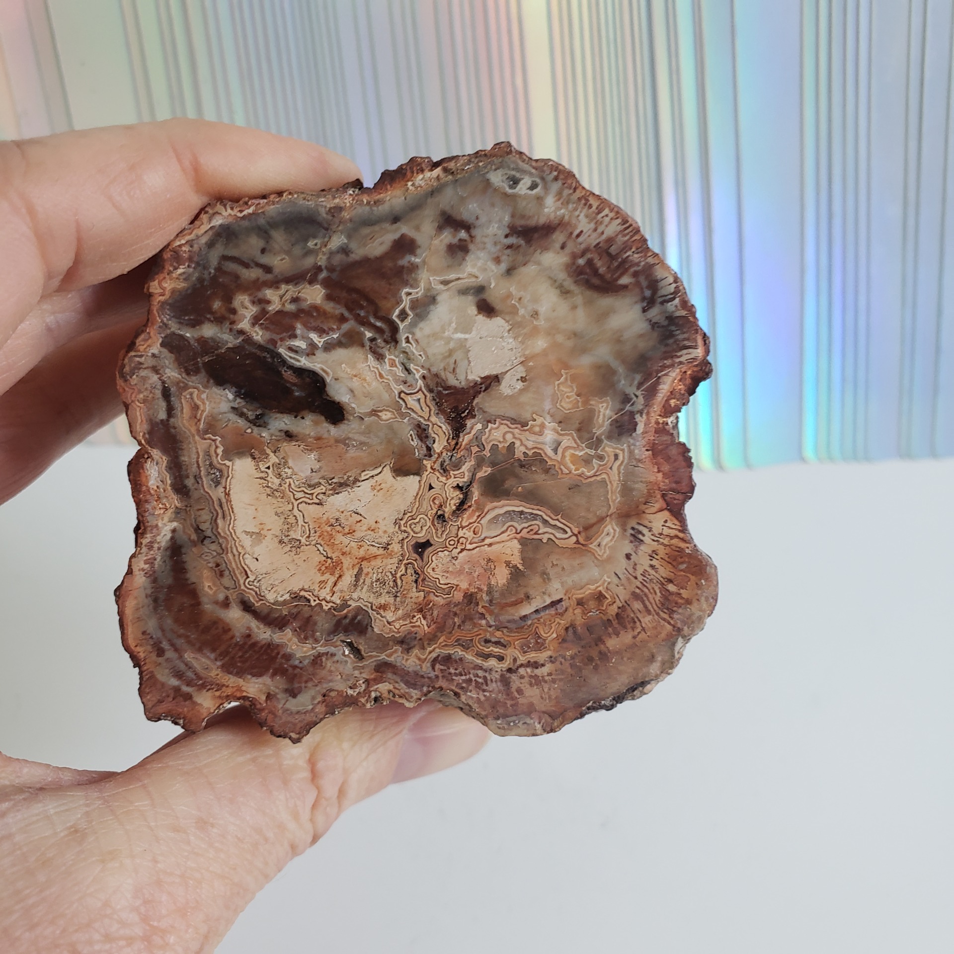 Energy Crystals Petrified Wood 1 1