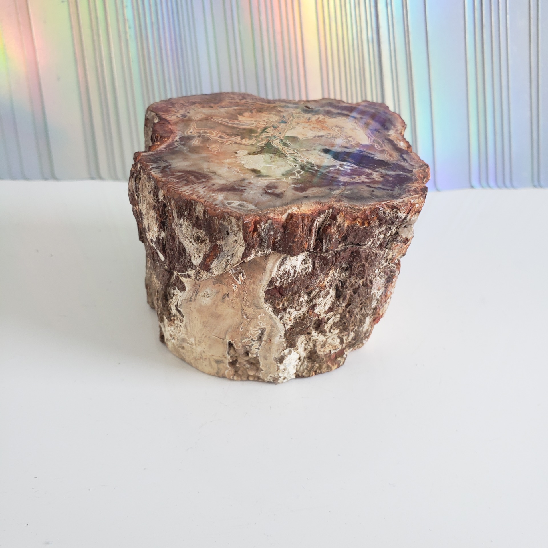 Energy Crystals Petrified Wood 1 4