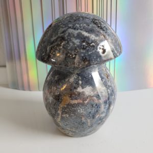 Energy Crystals Ocean Jasper Mushrooms 31