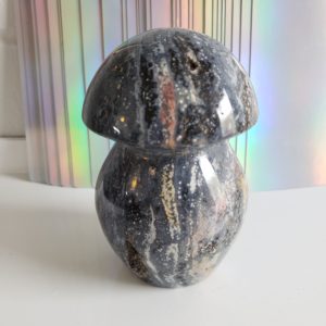 Energy Crystals Ocean Jasper Mushrooms 32